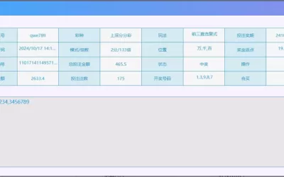 「2024/10/17」深证分分彩+福彩排列三单日赢9791投注记录