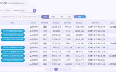 「2024/10/19」台湾五分彩/台湾PK10单日赢26269投注记录(附充提记录)