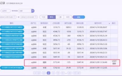 「2024/11/9」奇趣分分彩 单日赢10596投注记录(附充提款记录)