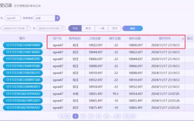 「2024/11/17」台湾PK10 单日赢10878投注记录(附帐变记录)